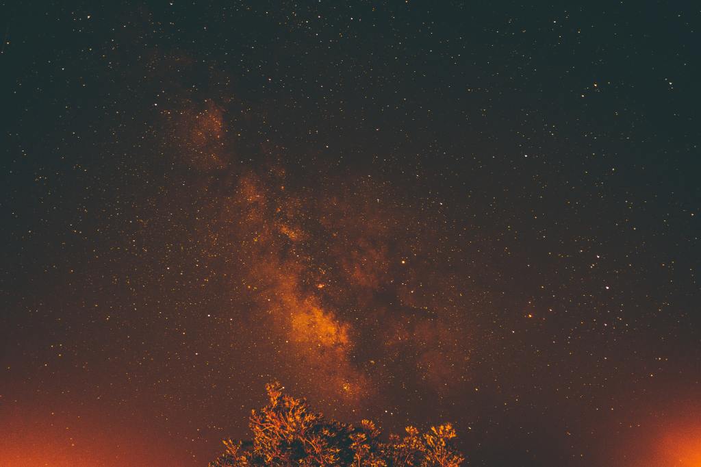 a photo of the night sky with amber hues. in the center of frame is the milky way, with just the top of a tree below.